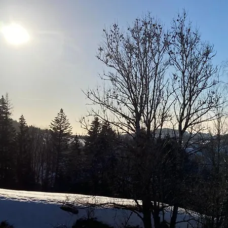 Apartment Alpenflair Mit Pool Und Sauna & Direkt Am Skilift